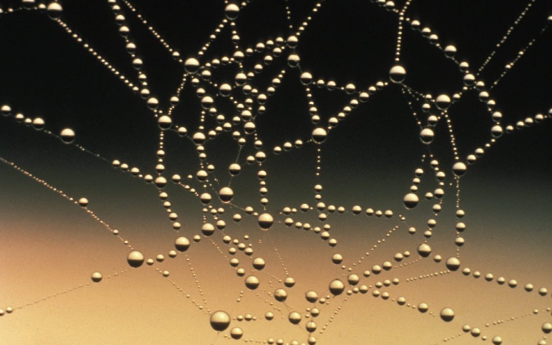 Dentro la società interconnessa. Recensione